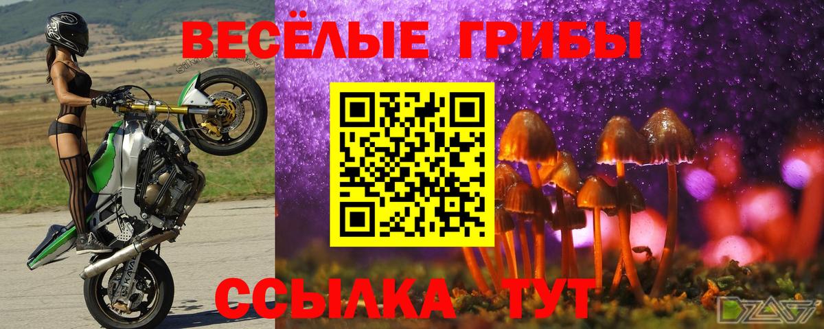 Галлюциногенные грибы ЛСД Глазов