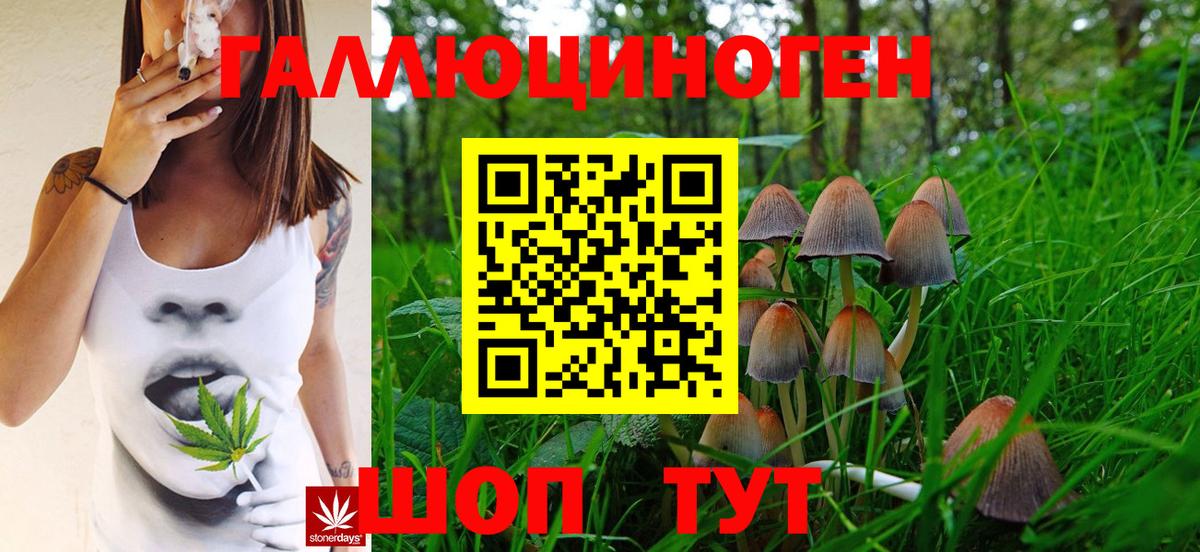 Глазов  Псилоцибиновые грибы Cubensis  Вход с VPN  Псилоцибиновые грибы GOLDEN TEACHER 